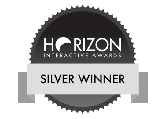 Horizon Award Silver